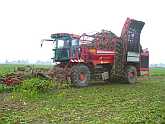 TerraDos T3 - foto