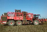 TerraDos T4-40