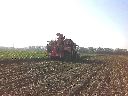 Holmer T4