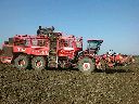Holmer T4