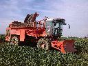 agrovital