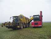 AgroVariant-foto