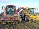 AgroVital Ro40