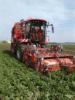 Holmer T4