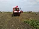 Holmer T4