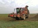 Holmer T4